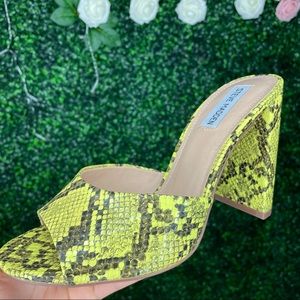 Steve Madden Snakeskin heels